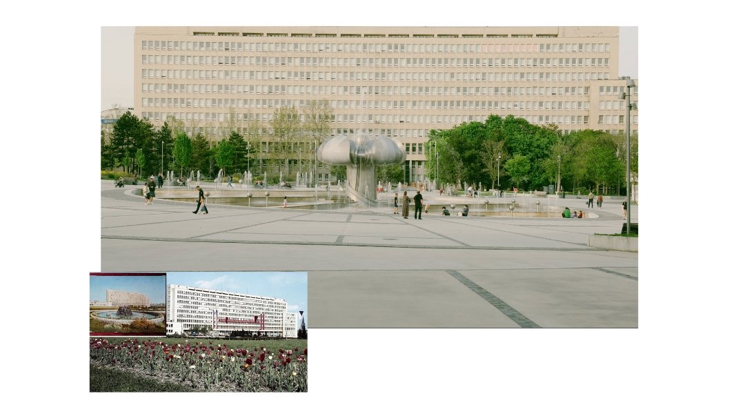 vide1 (1080 x 603 piks.) (2).jpg